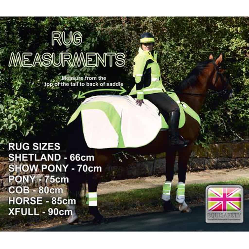 Equisafety MERCURY Reflective Horse Exercise Rug