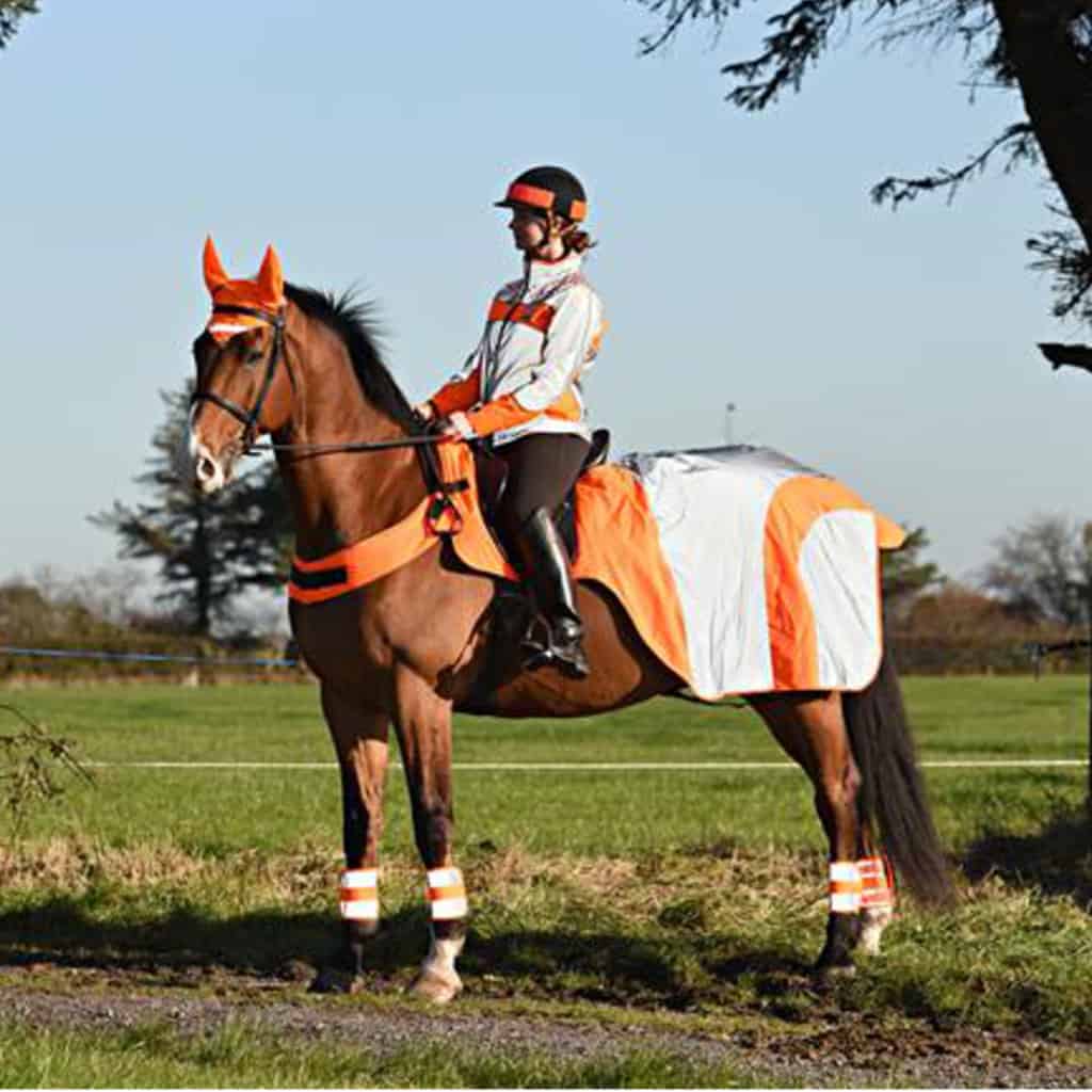 Equisafety MERCURY Reflective Horse Exercise Rug