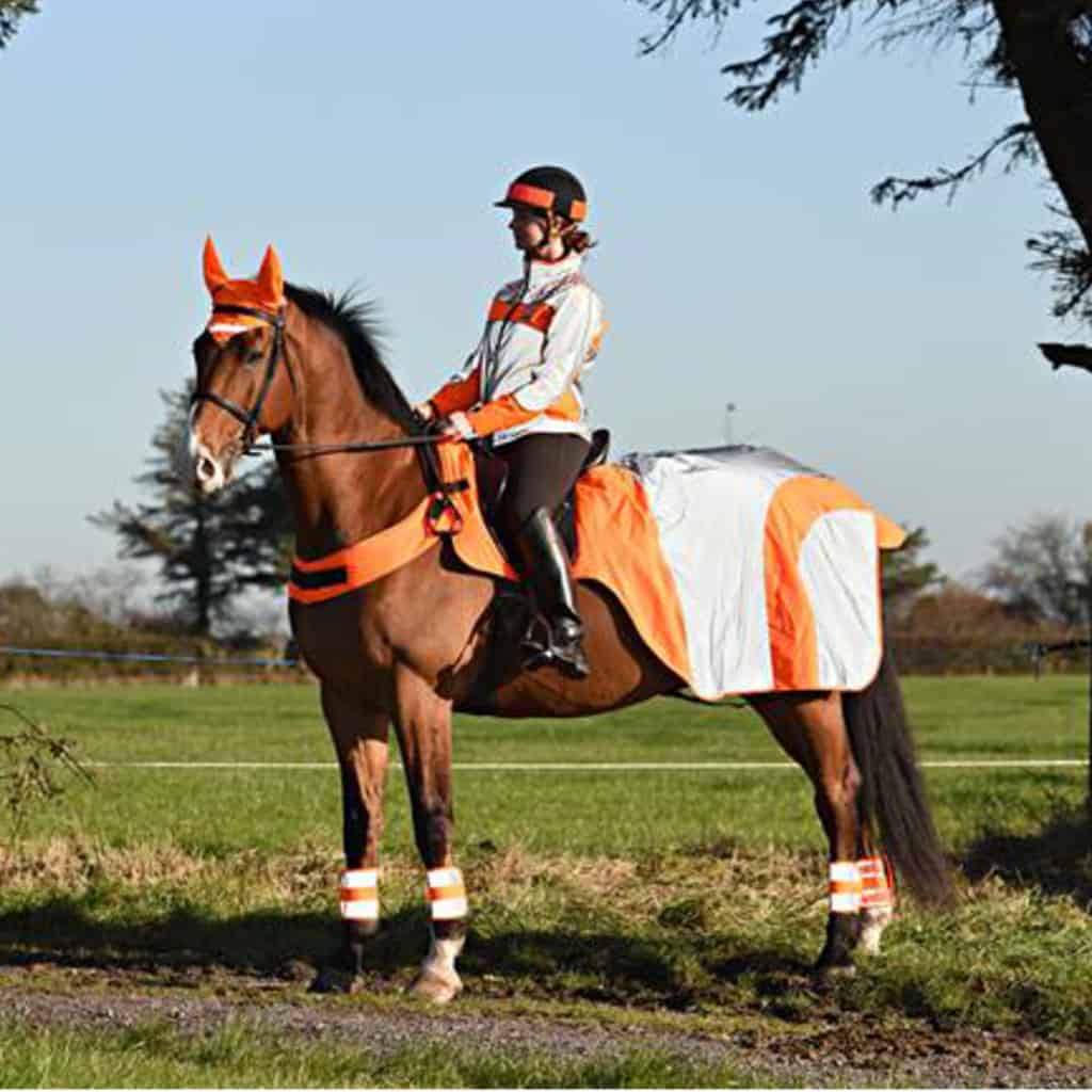 Equisafety MERCURY Reflective Horse Exercise Rug - equichoice.co.uk