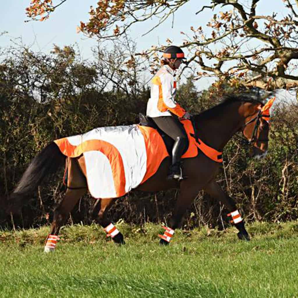 Equisafety MERCURY Reflective Horse Exercise Rug