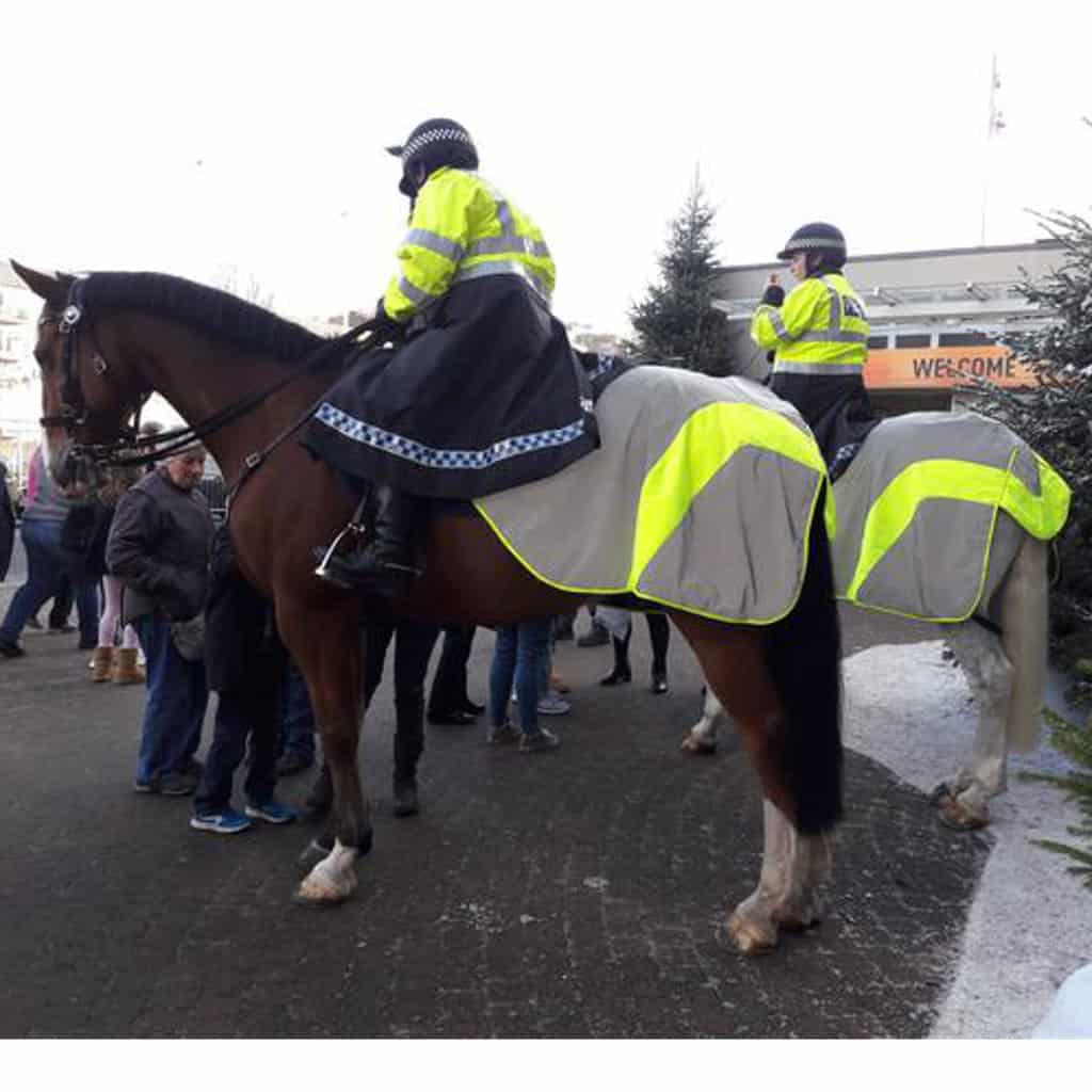 Equisafety MERCURY Reflective Horse Exercise Rug