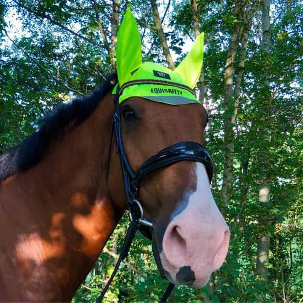 Equisafety Hi-Viz Fly Veil