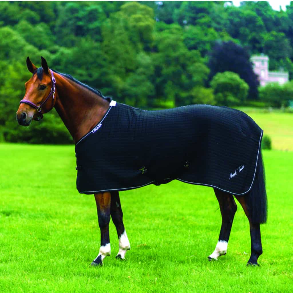 Mark Todd Coolex Cooler Rug - equichoice.co.uk