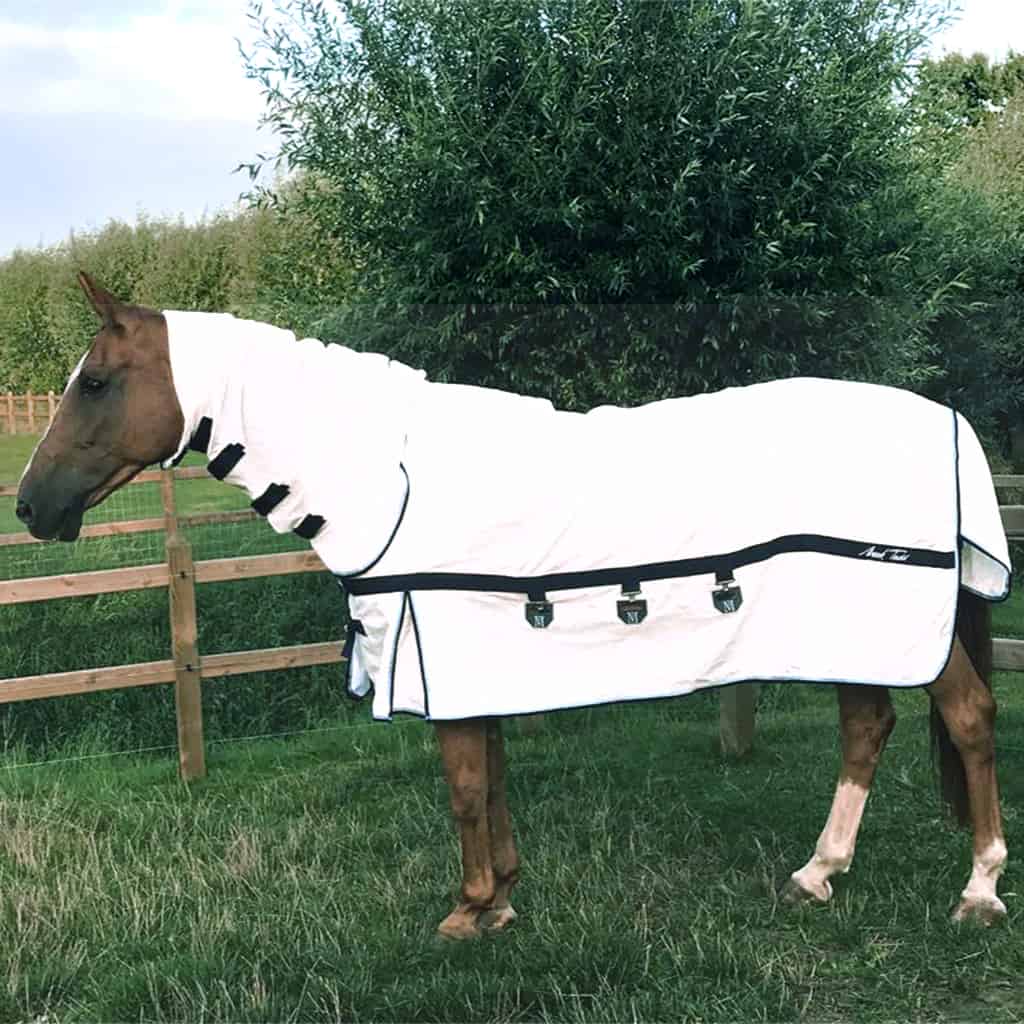 Mark Todd Pro Sweet Itch Combo Fly Rug