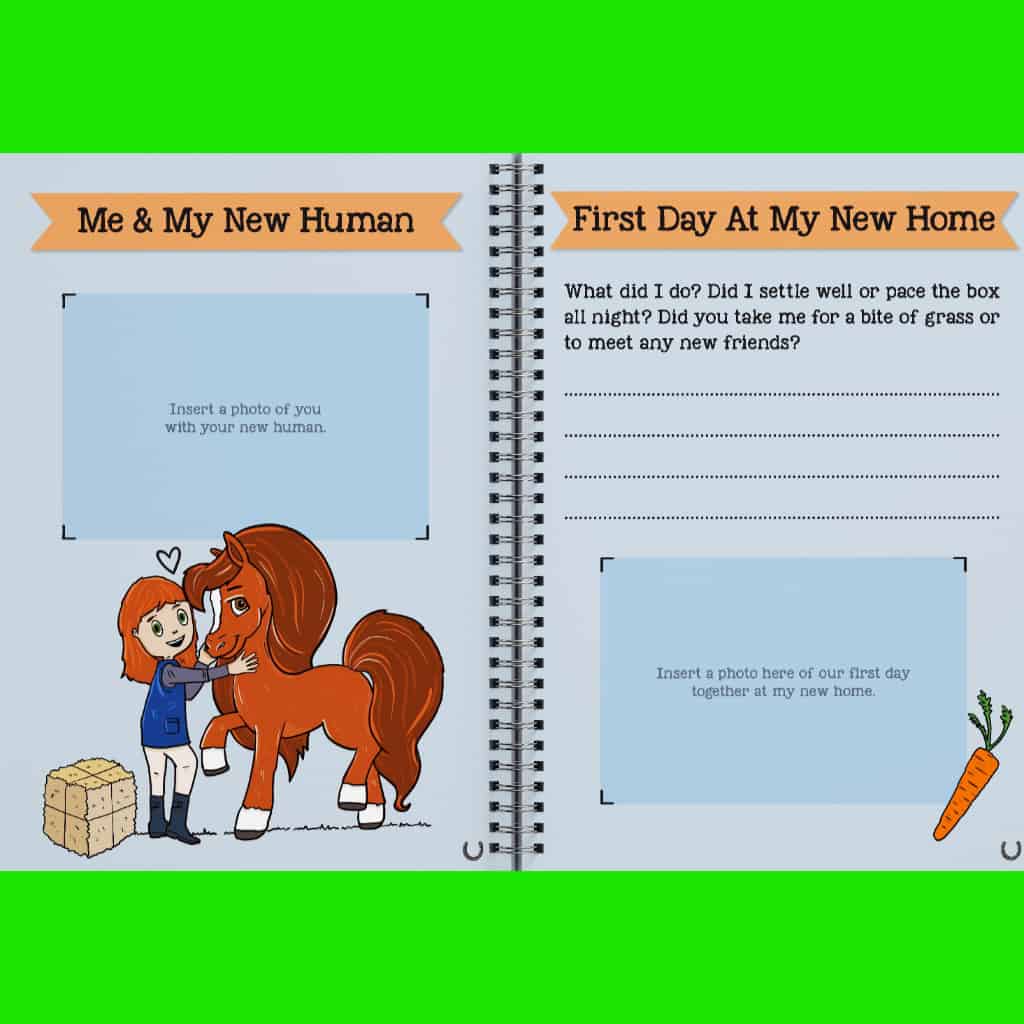 Miss George&#39;s My New Pony Book