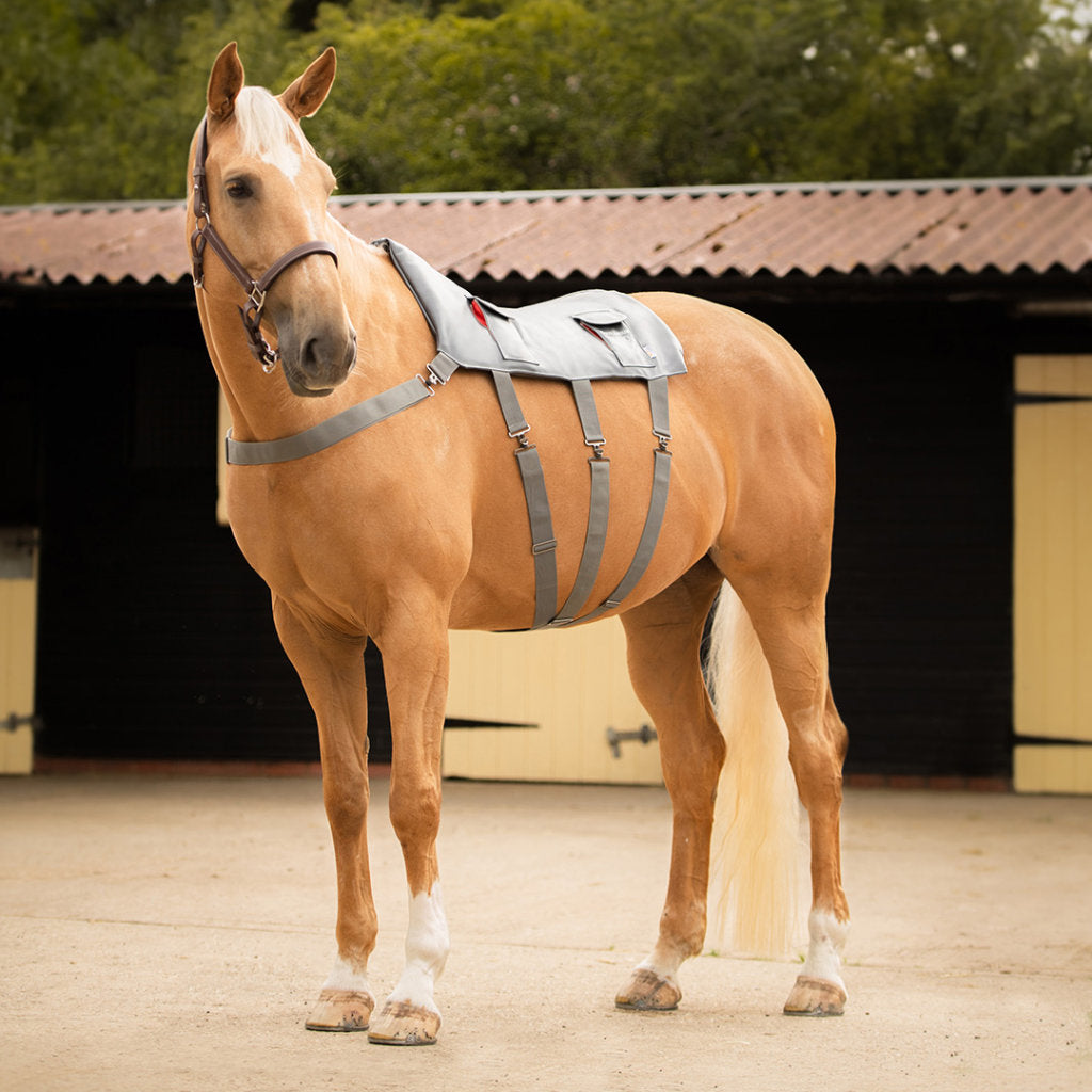 Equilibrium Massage Pad - Pony Size