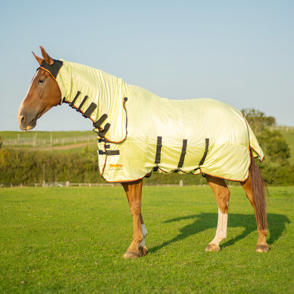 Equilibrium Fly Rug