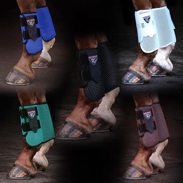 Equilibrium Allsport Boots for horses in White, Blue, Teal, Brown and Black