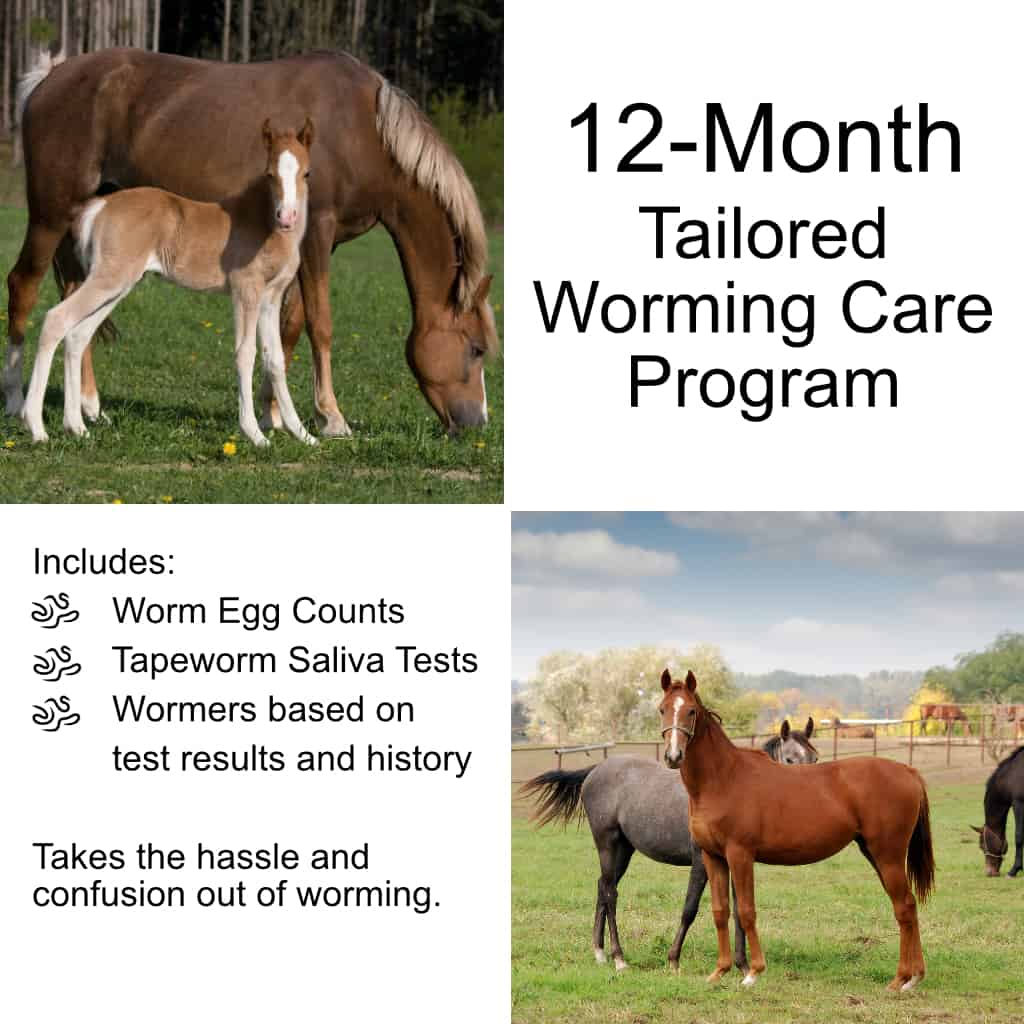 Full 12 Month Worming Care Subscription