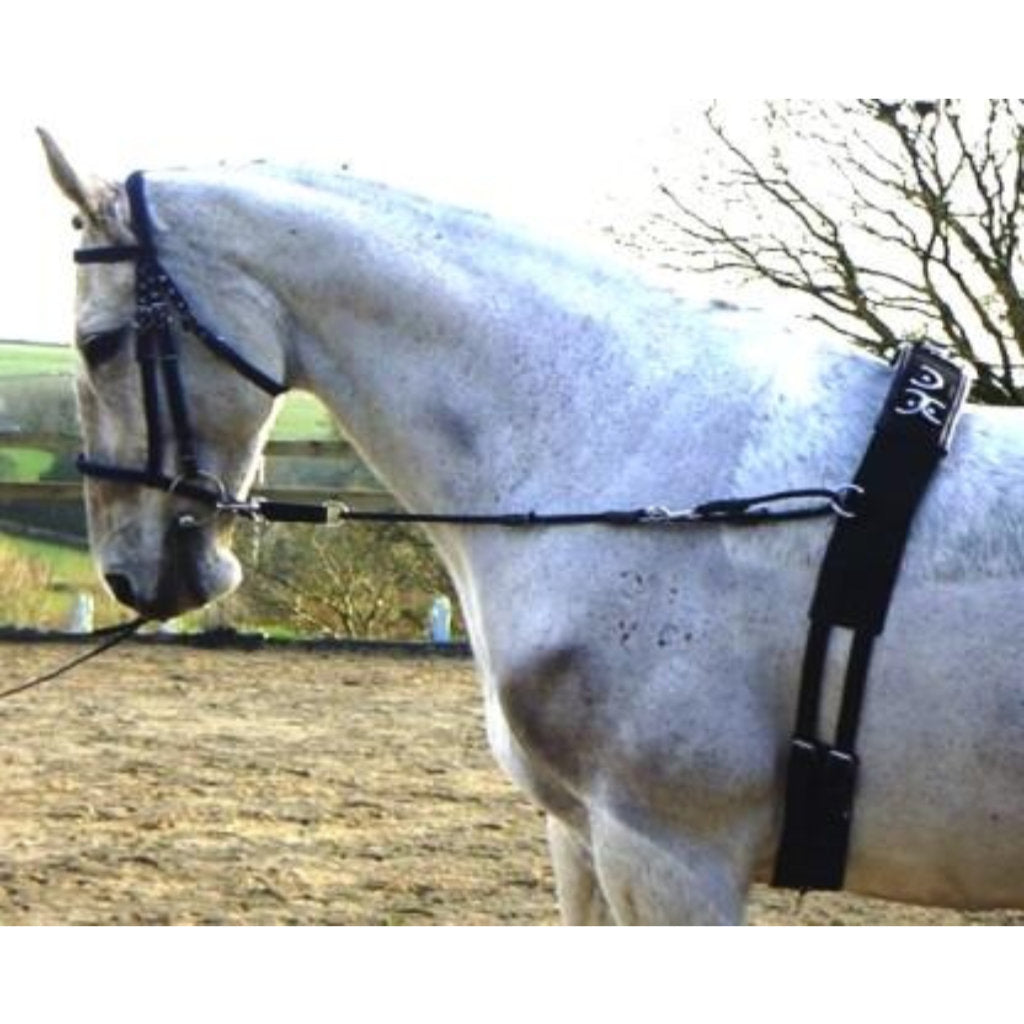 Lungie Bungie Lungeing and Riding Aid